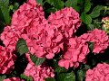 dscn0047-0