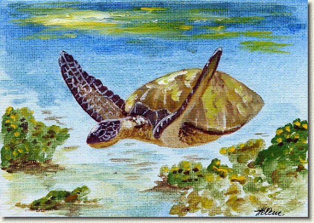 Honu.jpg - Green Sea Turtle