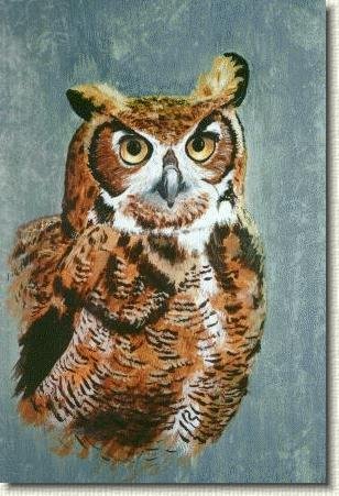 lgowl2.jpg - Great Horned Owl