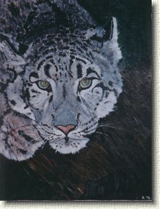 snowleop.jpg - Snow Leopard