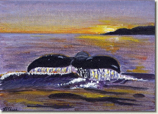tail.jpg - Whale Tail at Sunset