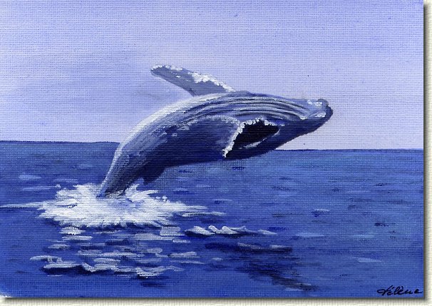 whale1.jpg - Humpback Whale