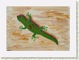 geckopainting2