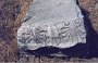 fragment