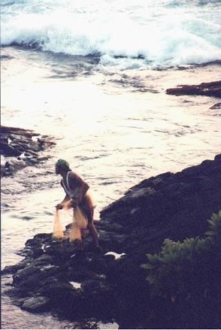 fishing.jpeg - Fishing for dinner