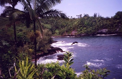 hamakua.jpg - Hamakua coast